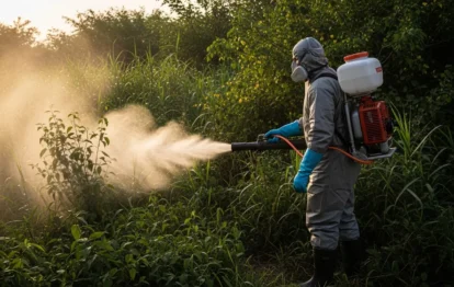 Dedetização para Mosquitos